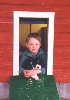 Gisle med valpen